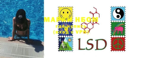 PSILOCYBIN Няндома