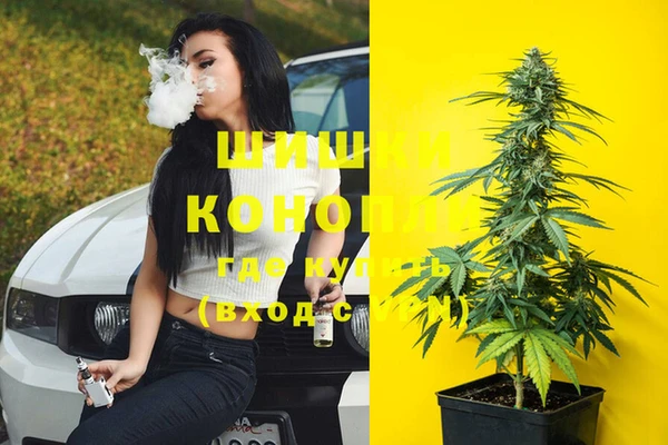 трава Горняк