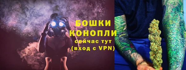 МДПВ Горнозаводск