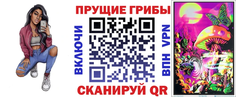Псилоцибиновые грибы Psilocybine cubensis  Печоры 